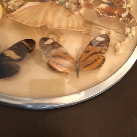 Vintage butterfly and dried flower wall hanging - Picture 4 of 8